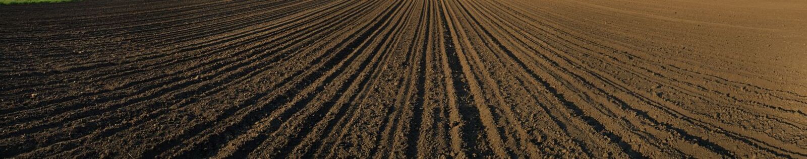 Arable land panorama
